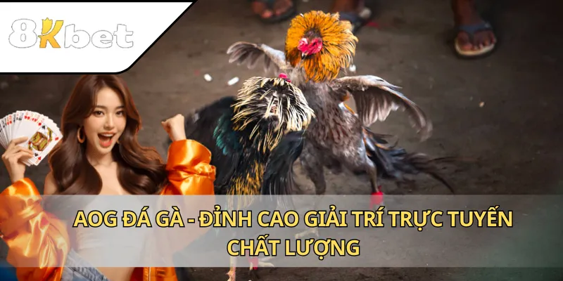AOG Đá Gà