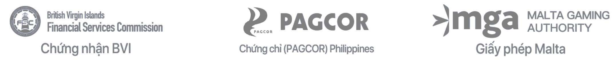banner footer