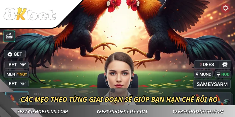 Các mẹo theo từng giai đoạn sẽ giúp bạn hạn chế rủi ro