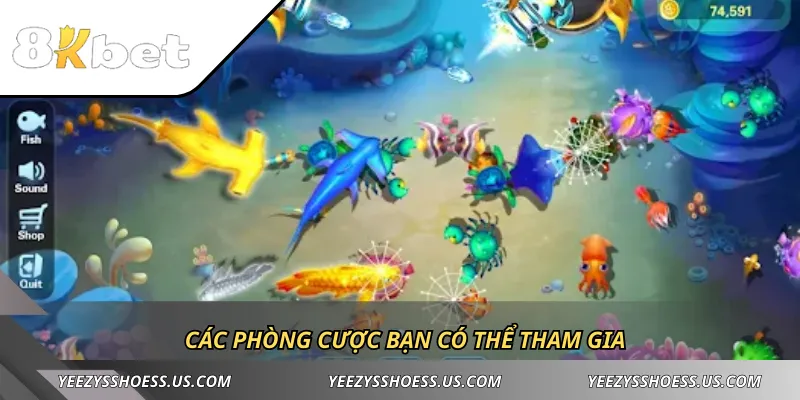 Các phòng cược bạn có thể tham gia