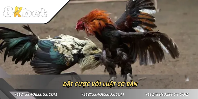 Đặt cược với luật cơ bản
