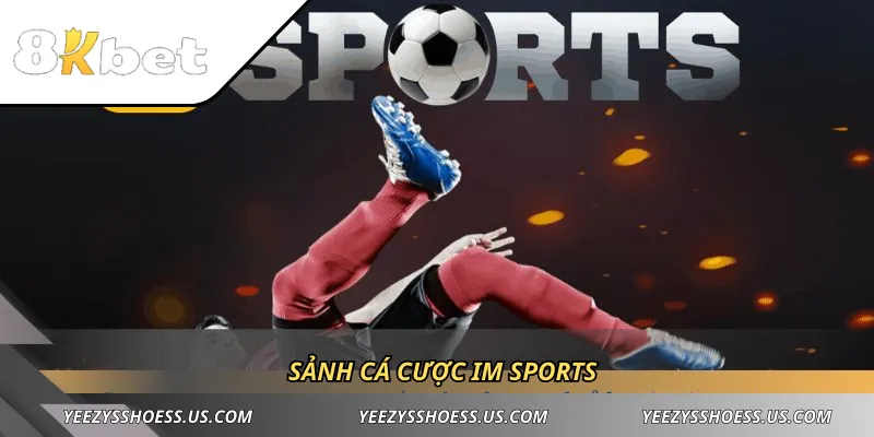Sảnh cá cược IM Sports